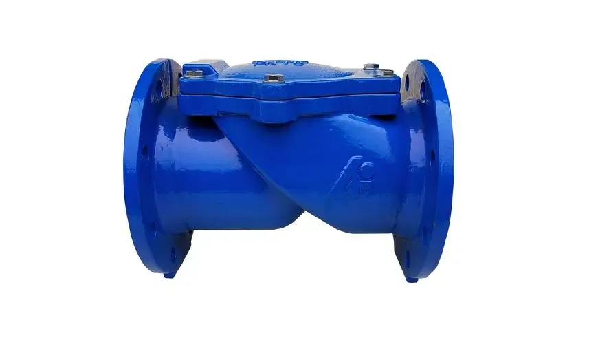 წაიკითხეთ მეტი Check Valve Assy- ის შესახებ